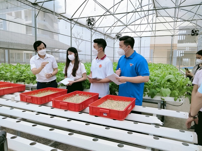 Sinh viên Khoa Nông Lâm Ngư thực hành trồng rau công nghệ cao tại Trại thực nghiệm