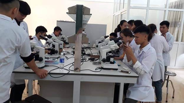 Job opportunities after school of veterinary, agriculture and forestry school of VietNam university of economy