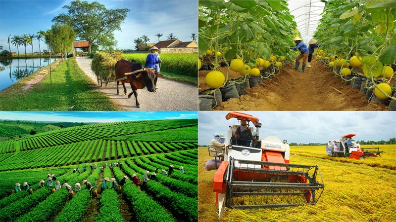 Đào tạo và phát triển nguồn nhân lực gắn với việc làm và chuyển dịch cơ cấu lao động nông nghiệp nông thôn hiện nay ở nước ta