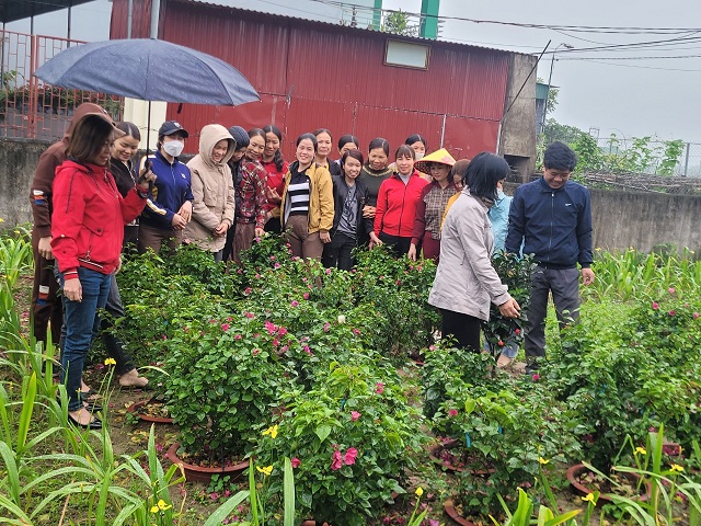 Khoa Nông Lâm Ngư tham gia hoạt động cộng đồng kết nối và đào tạo nghề cho nông dân xã Hưng Hòa, thành phố Vinh  