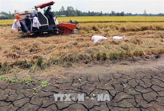 Biến đổi khí hậu đang là trở ngại lớn với hệ thống lương thực ASEAN