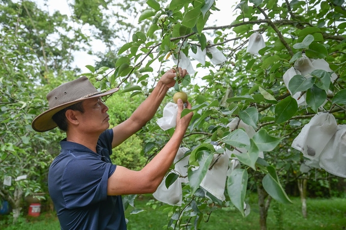 Tận dụng kinh nghiệm quốc tế để xây dựng nền nông nghiệp sinh thái